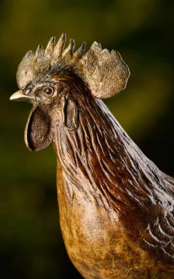 Rooster by Jake Mikoda