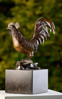 Rooster by Jake Mikoda