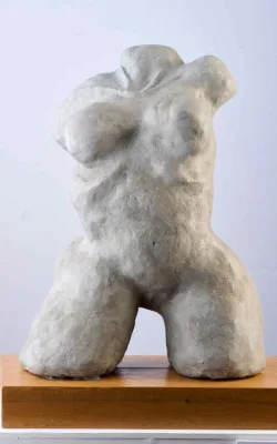 S Curve Pose - Female Torso by Eitan Froumine