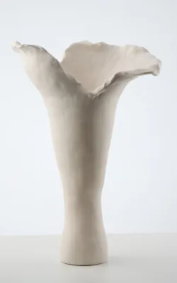 Sagittal (From good bones) by Bonnie Cruikshank