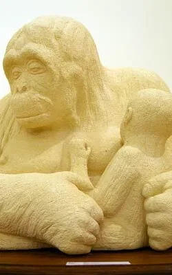 Sally the Orang-utan by Mary Currin