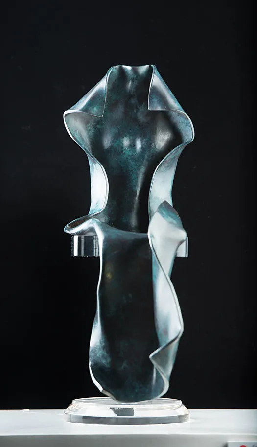 Sara in Negative Space by Rachel Boymal