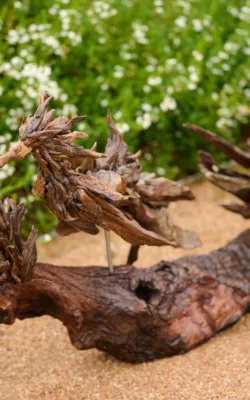 Sea Dragon by Chris Anderson
