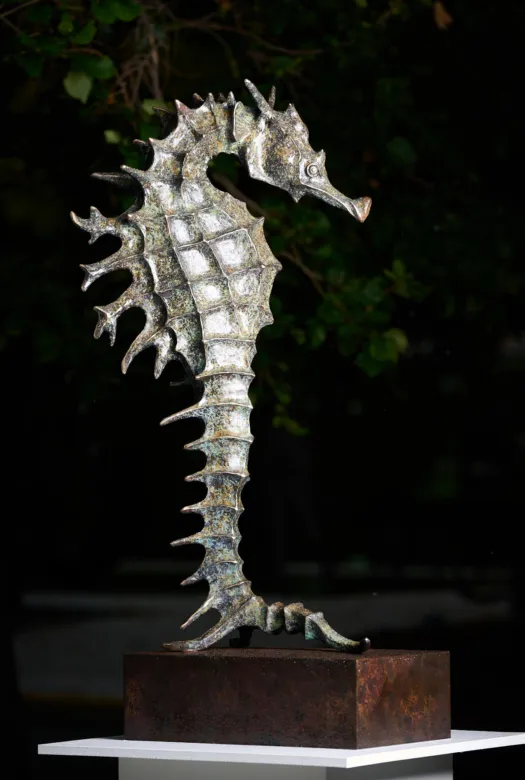 Seahorse by Jake Mikoda