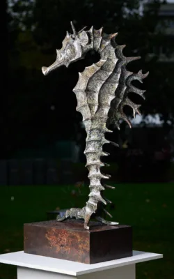 Seahorse by Jake Mikoda