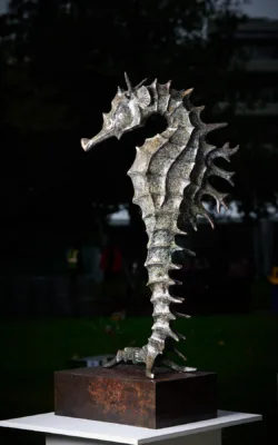 Seahorse by Jake Mikoda