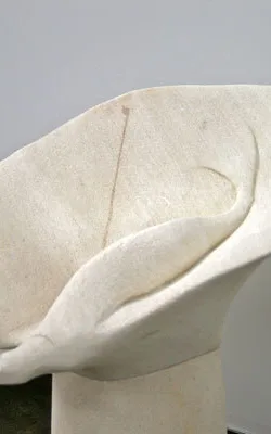 Seal Surfing by Kevin Free