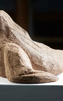 Seal by Aukje Van Vark