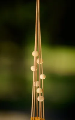 Seven Orbs by Domenica Wallace