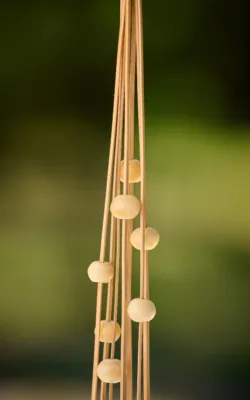 Seven Orbs by Domenica Wallace