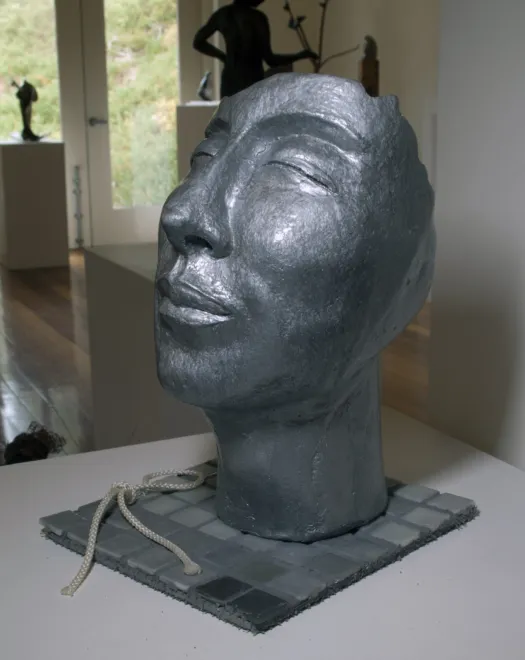 Shaded Grey by Bronwyn Culshaw