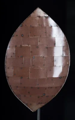 Shield by Melanie Rayski-Mati