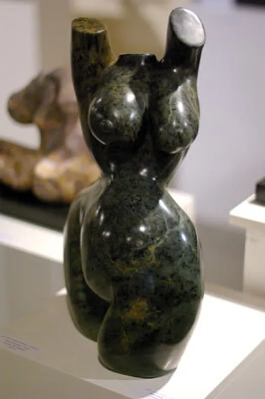Shimmy by Jenny Whiteside