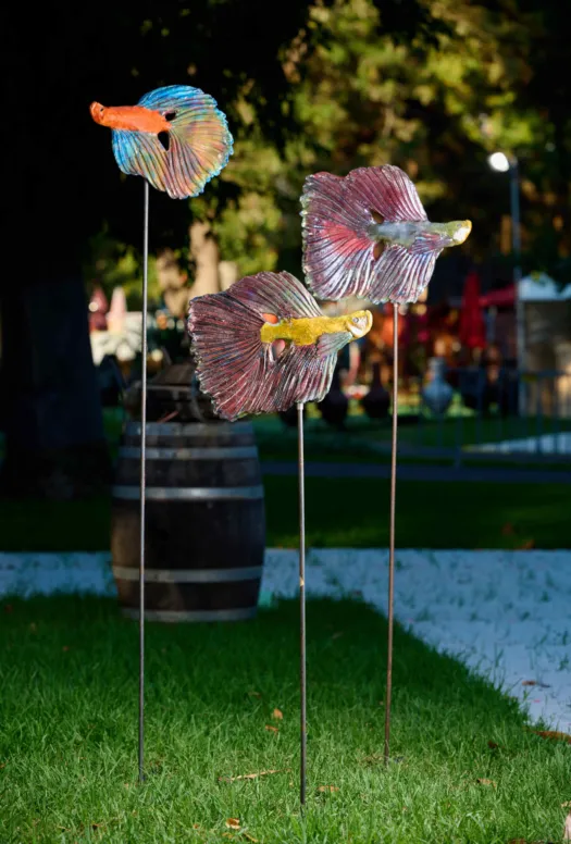 Siamese Fighting fish by Heather Wilson