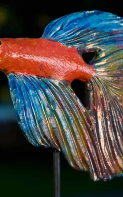 Siamese Fighting fish by Heather Wilson