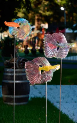Siamese Fighting fish by Heather Wilson