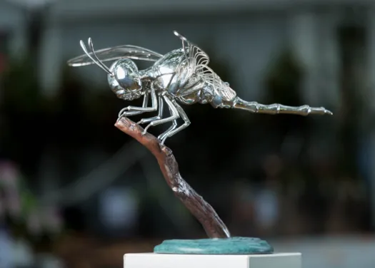 Small Dragonfly by Todd Lyndon Stuart
