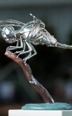 Small Dragonfly by Todd Lyndon Stuart