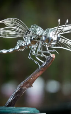 Small Dragonfly by Todd Lyndon Stuart