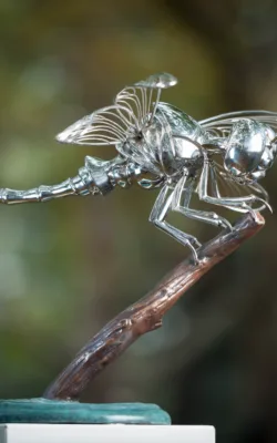 Small Dragonfly by Todd Lyndon Stuart