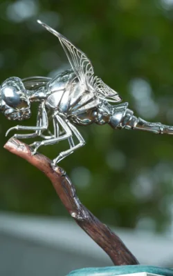 Small Dragonfly by Todd Lyndon Stuart