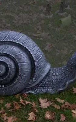 Snail Play (racing snails) by Martin Moore