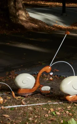 Snail Trails by Brian  Wigg