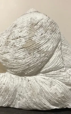 Snow Angel by Jenny Whiteside