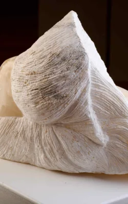 Snow Angel by Jenny Whiteside