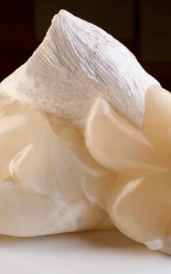 Snow Angel by Jenny Whiteside