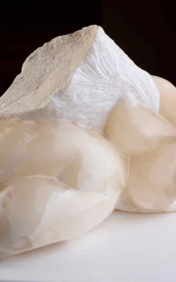 Snow Angel by Jenny Whiteside