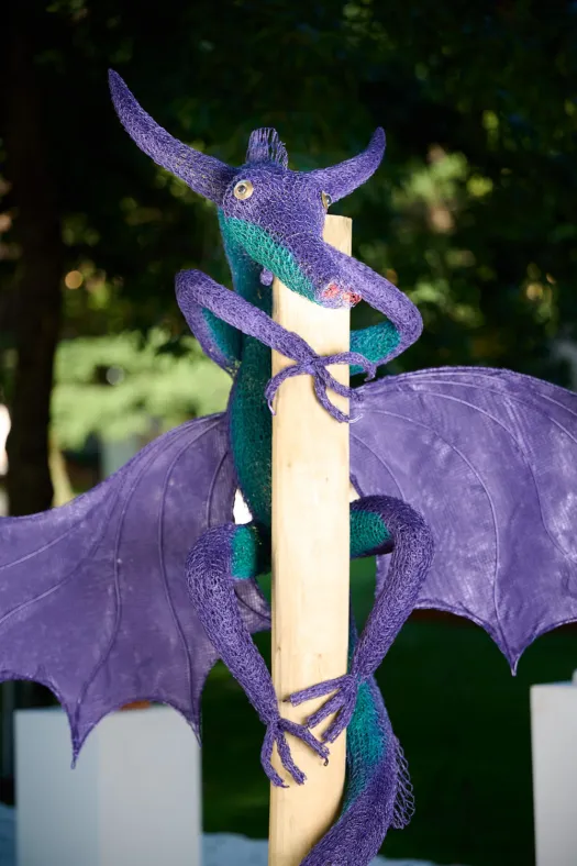 Soarina by Vicki Combridge