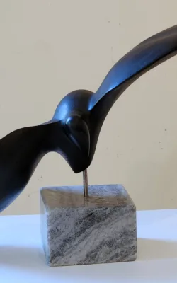 Soaring by Tania Hungerford