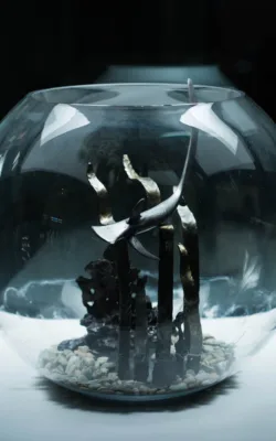 Solitary Hunter by Paul Cacioli