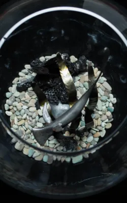 Solitary Hunter by Paul Cacioli