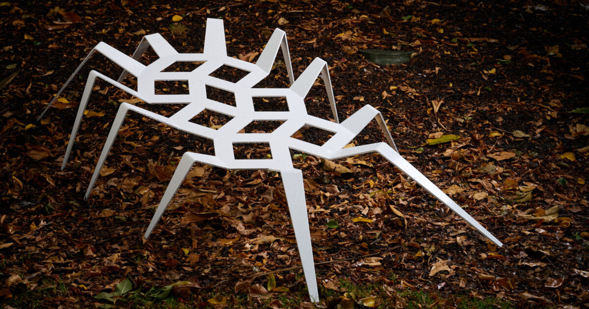 Spider | Association of Sculptors of Victoria