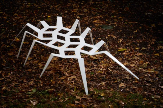 Spider by Drasko Boljevic