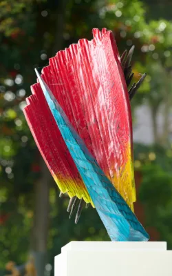 Splash by Peter Saville