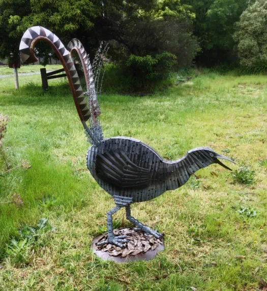 Squawker  (Little Lyrebird) by Neil Findley