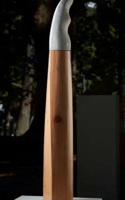 Standing Woman by Peter Sanders