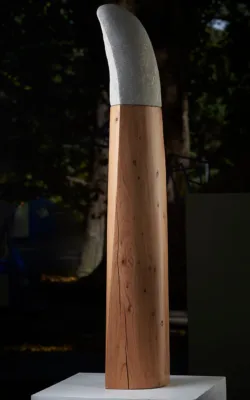 Standing Woman by Peter Sanders