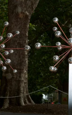 Starburst by David Doyle