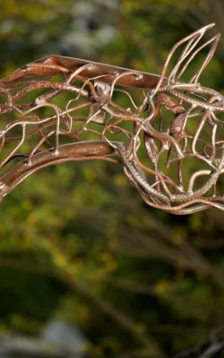 Stockman by Mark Niglia