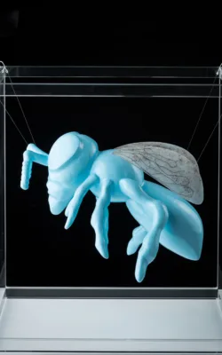 Suspended Bee by Chris McDonald