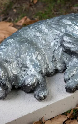 Sylver Ster  the Cat by Suzanne Kaldor