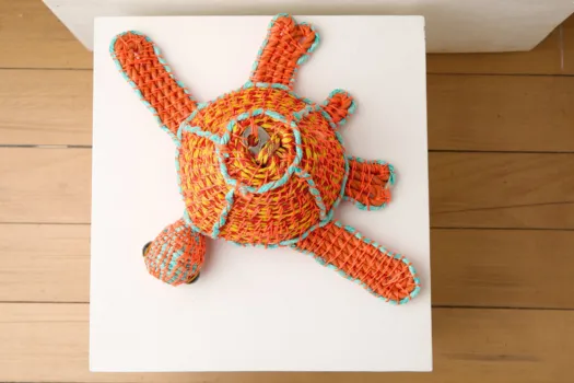 Tangarine Turtle by Jo Jo Spook