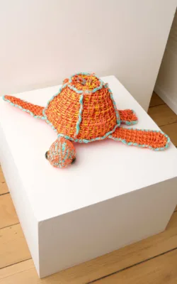 Tangarine Turtle by Jo Jo Spook
