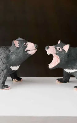 Tasmanian Devils by Damian Curtain