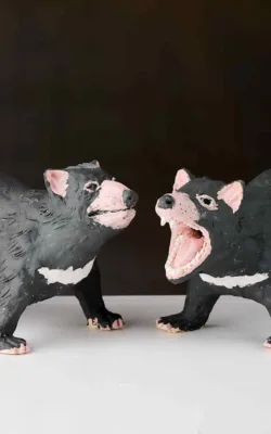 Tasmanian Devils by Damian Curtain