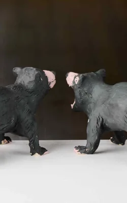 Tasmanian Devils by Damian Curtain